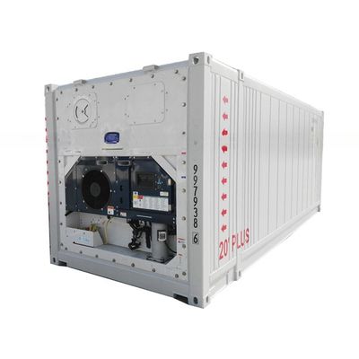 カスタマイズされた寸法 23ft BV認定冷蔵庫 貯蔵容器 -30- 30C 温度範囲 380/440V