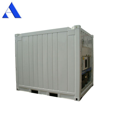 10ft DNV 2.7-1 認証されたオフショアリーファー収容容器