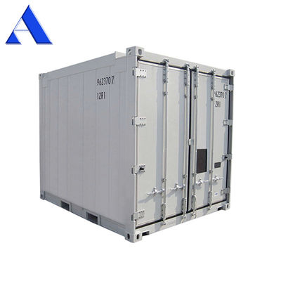 10ft DNV 2.7-1 認証されたオフショアリーファー収容容器