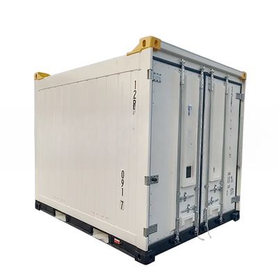 10フィートオフショア冷蔵コンテナ CSC/BV証明書 アルミニウムTバーフロアで鋼とアルミ製